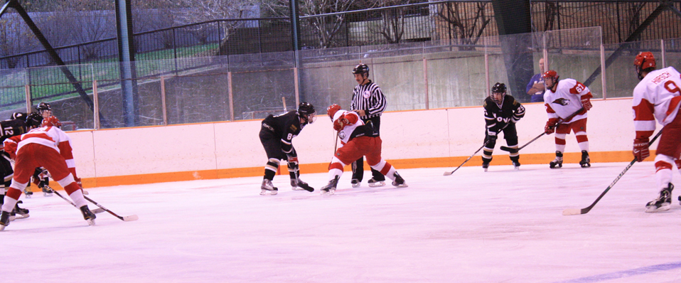 Johnson Leads Lions to Victory