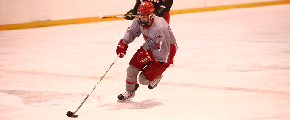 Men's Ice Hockey Falls Short at Home