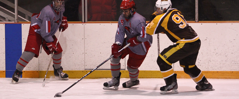 Men's Ice Hockey Takes Down Rowan 7-3