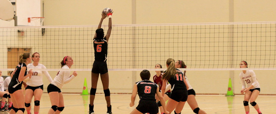 Women's Volleyball Tops Arcadia at Home