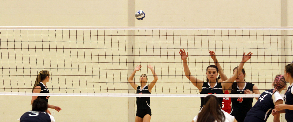 Women's Volleyball Finishes the Season with a 3-0 Win Over PSU-Abington