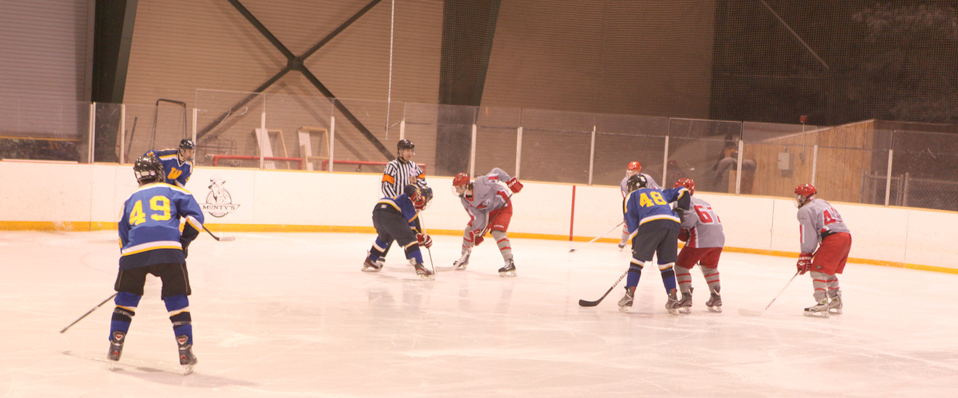 Men's Ice Hockey Wins at Home to Finish the Regular Season