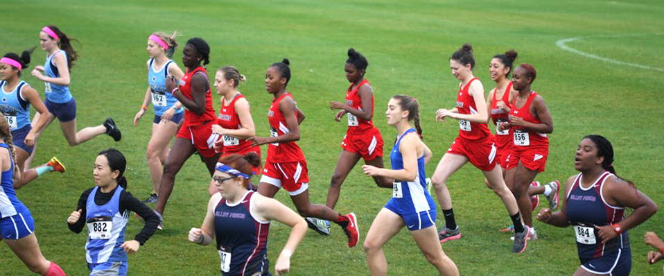 Cross Country Teams Compete at the Immaculata Invitational