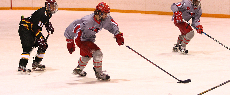 Men's Ice Hockey Falls to Pitt-Johnstown in the Atlantic Regional Finals