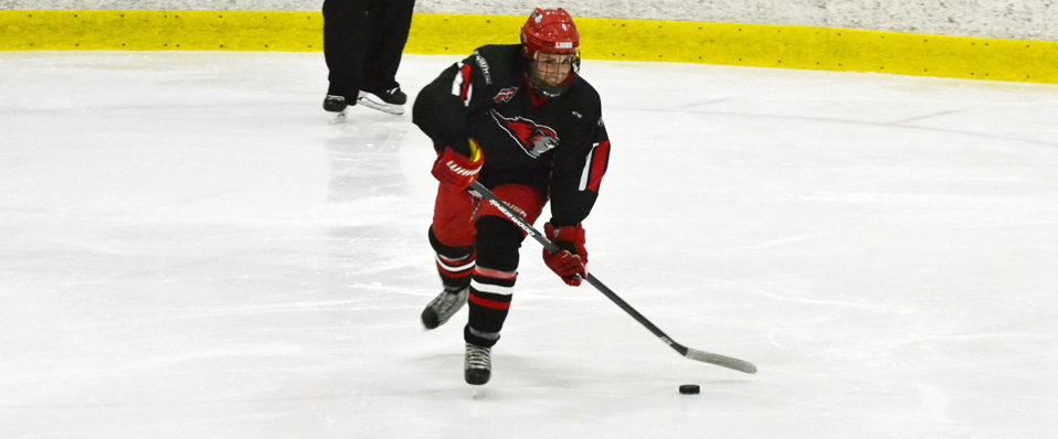 Men's Ice Hockey Doubles Up Fairfield 3-1