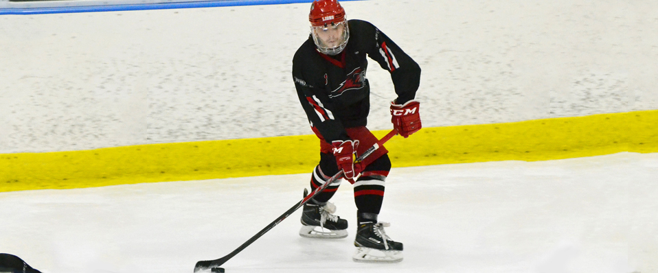 Men's Ice Hockey Beats Rowan 6-1