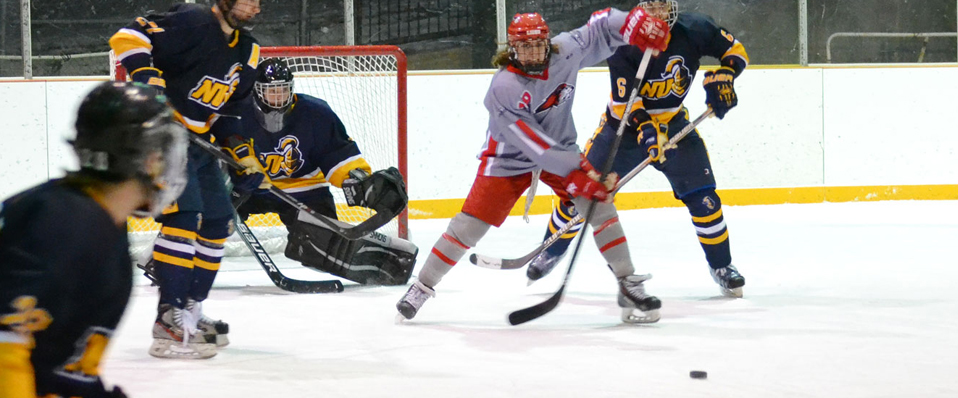Men's Ice Hockey Remains Undefeated in DVCHC