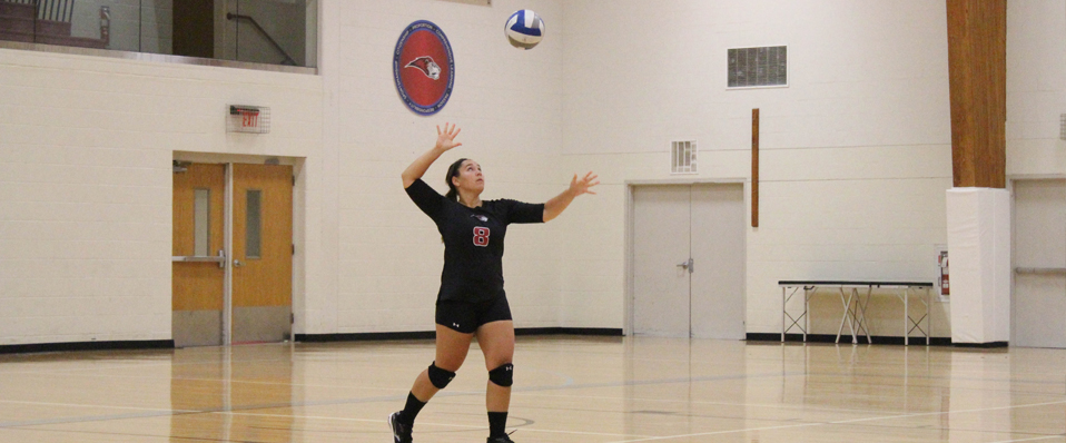 Lions sweep SUNY Cobleskill 3-0