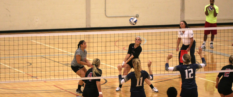 Women's Volleyball Falls to Gallaudet in NEAC Action
