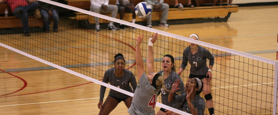 Women's Volleyball Finish NEAC South Pool Play 2-0