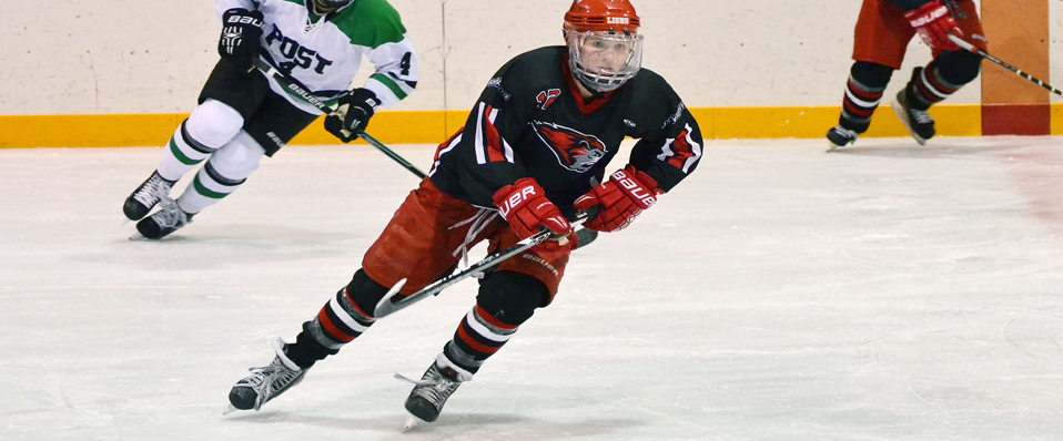 Men's Ice Hockey Tops South Florida, 9-2