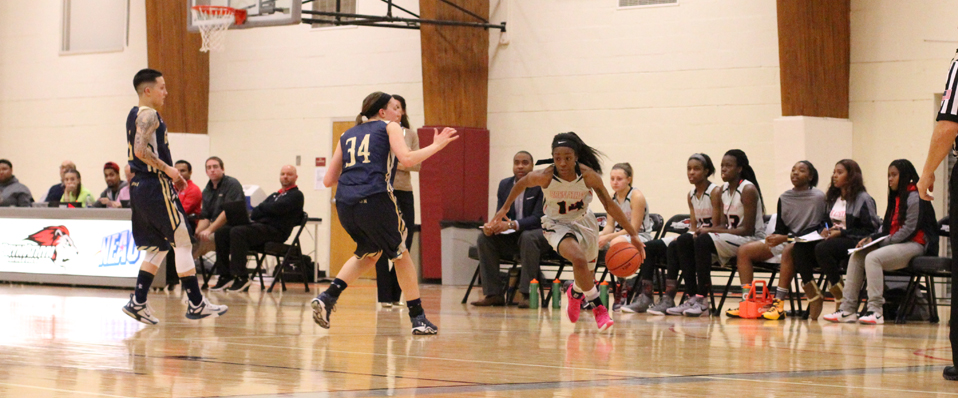 Lions Move to 2-1 in the NEAC After 55-43 Defeat Over Gallaudet