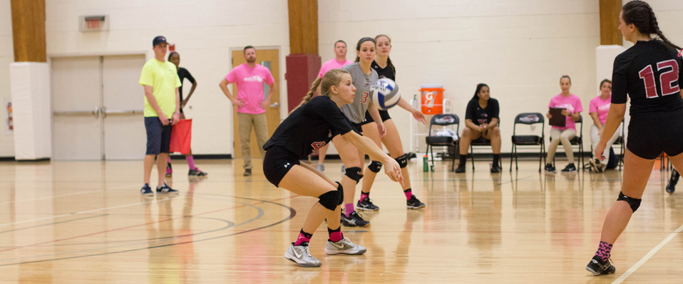 Women's Volleyball Blanks Valley Forge, 3-0