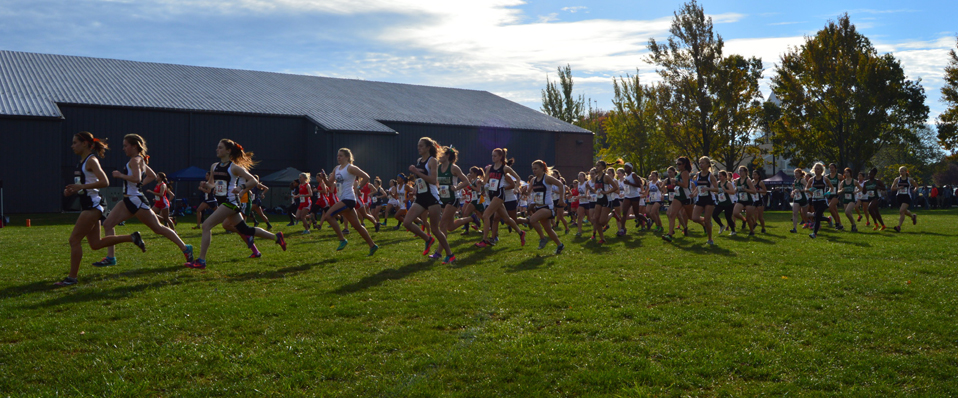 Women's and Men's Cross County Teams Compete at NEAC Championships