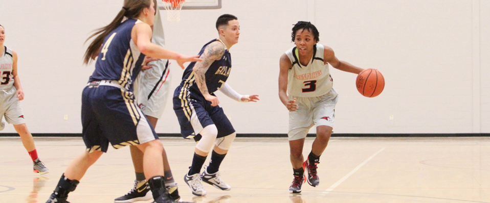 Lions comeback falls short in loss to Gallaudet in NEAC Quarterfinal, 76 - 70