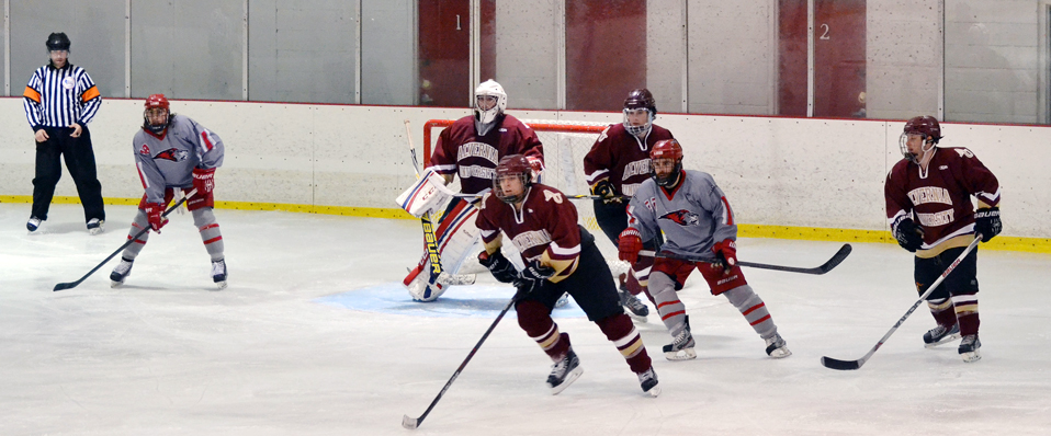 #1 Men's Ice Hockey Blanks Alvernia, 4-0