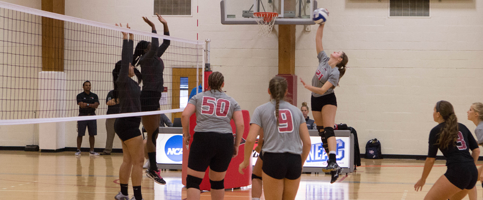 Women's Volleyball Falls to Gwynedd Mercy