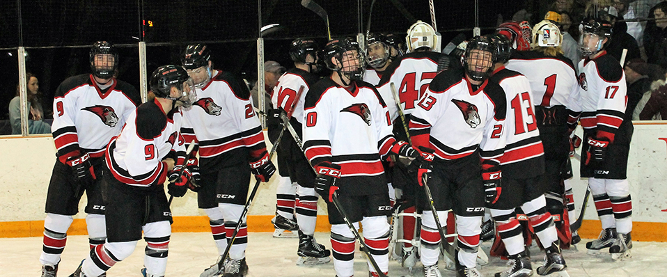 Men's ice hockey heads to Elmira on Tuesday to close out 2017