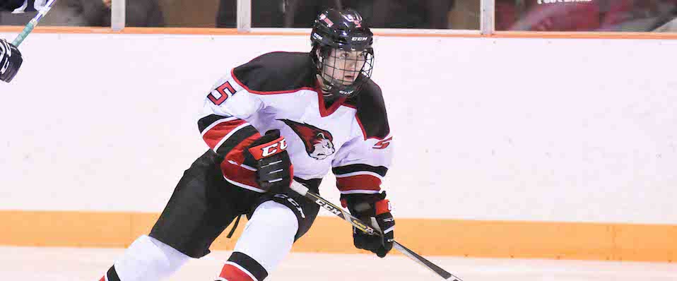 Men's ice hockey ends 2017 with 5-2 loss to Elmira