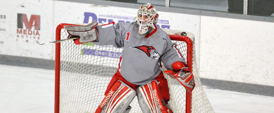 Altman signs professional contract with Soderhamn Ljusne HC in Sweden