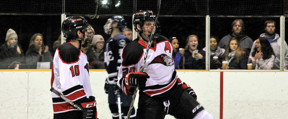Men's ice hockey skates to 2-2 tie against Western New England