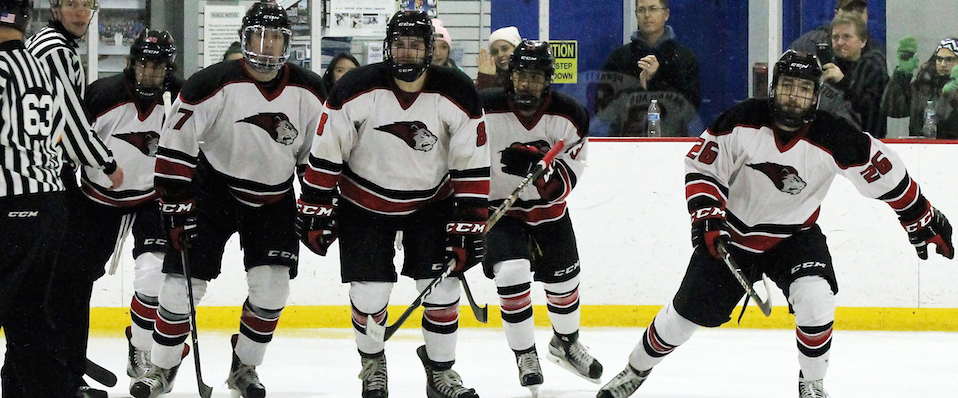 Ice hockey falls to Curry 6-1