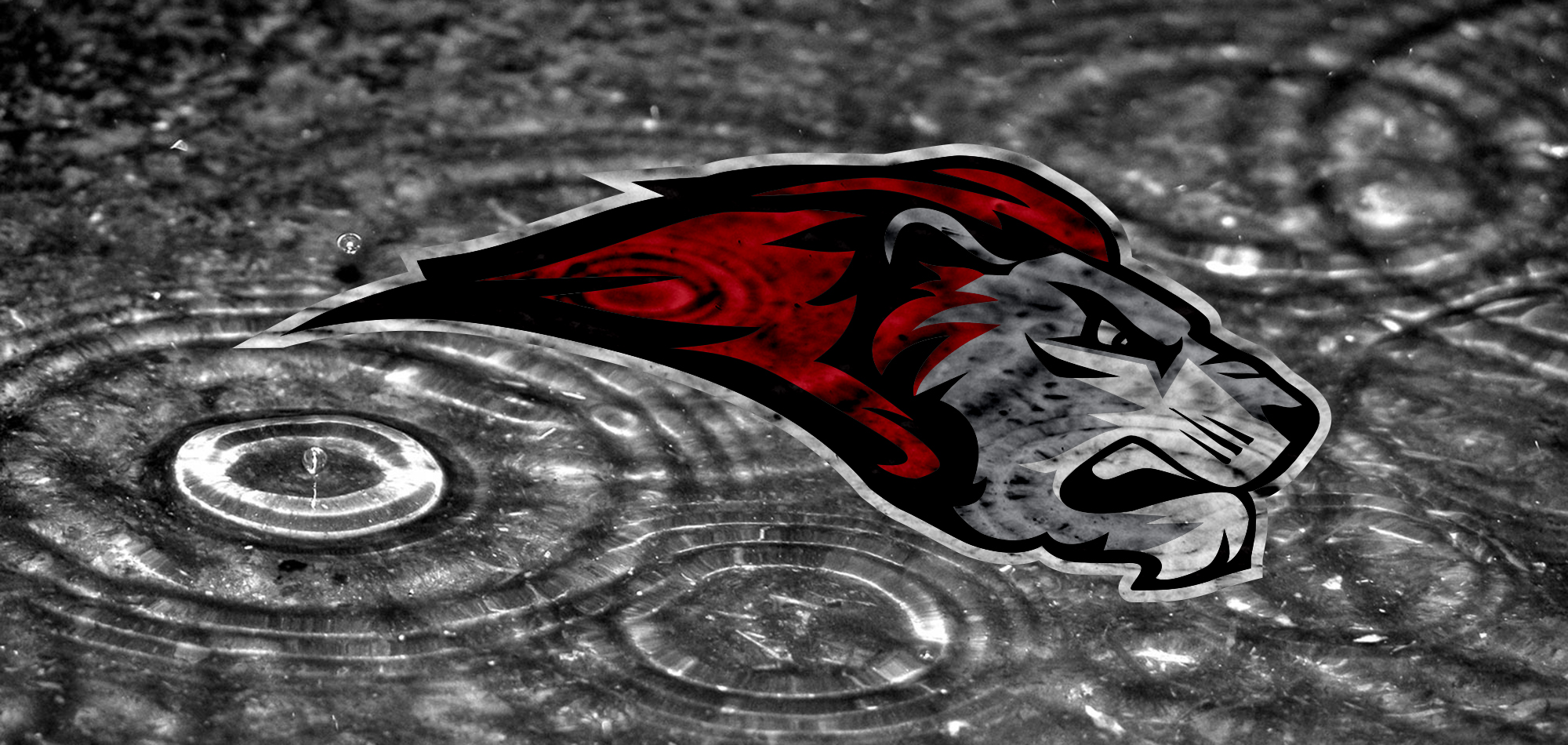 Field hockey's finale against Del Val cancelled by nor'easter