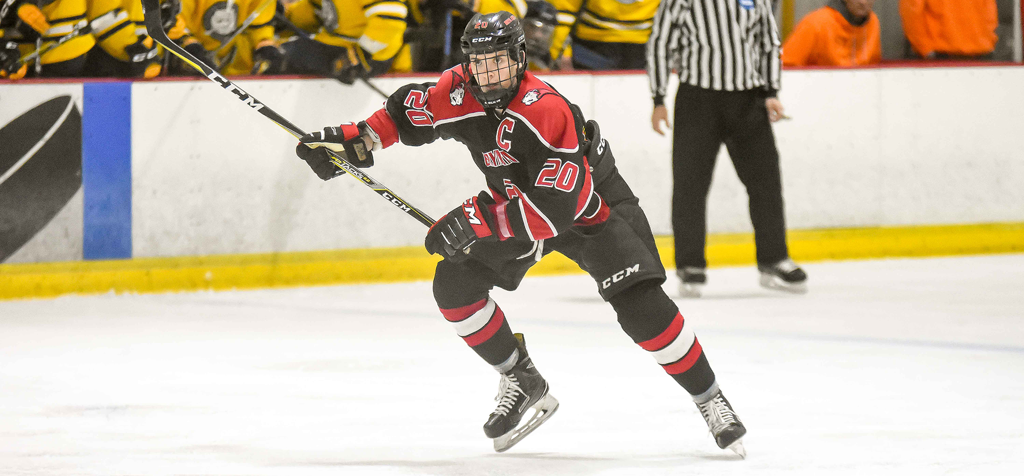 Ice hockey tripped up at Fredonia State