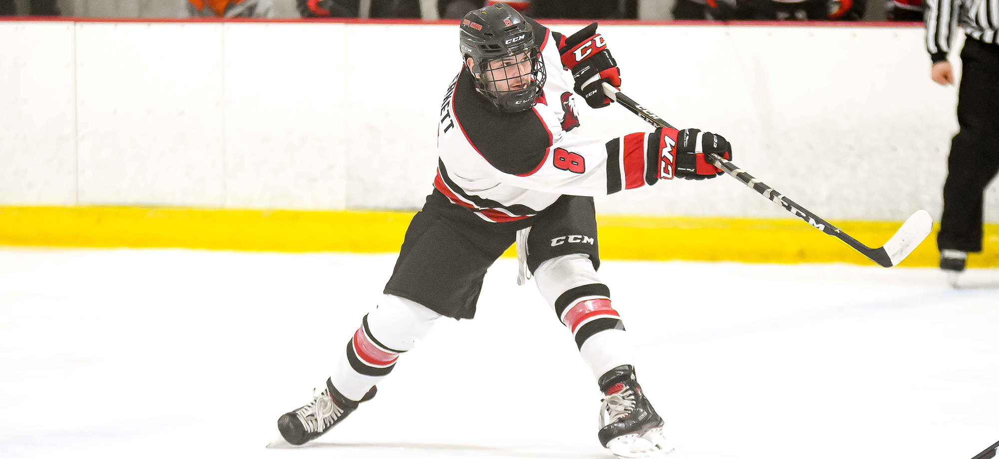 Lions upended at Wilkes 4-2