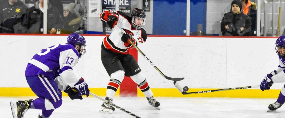 Ice hockey falls to Neumann 6-4