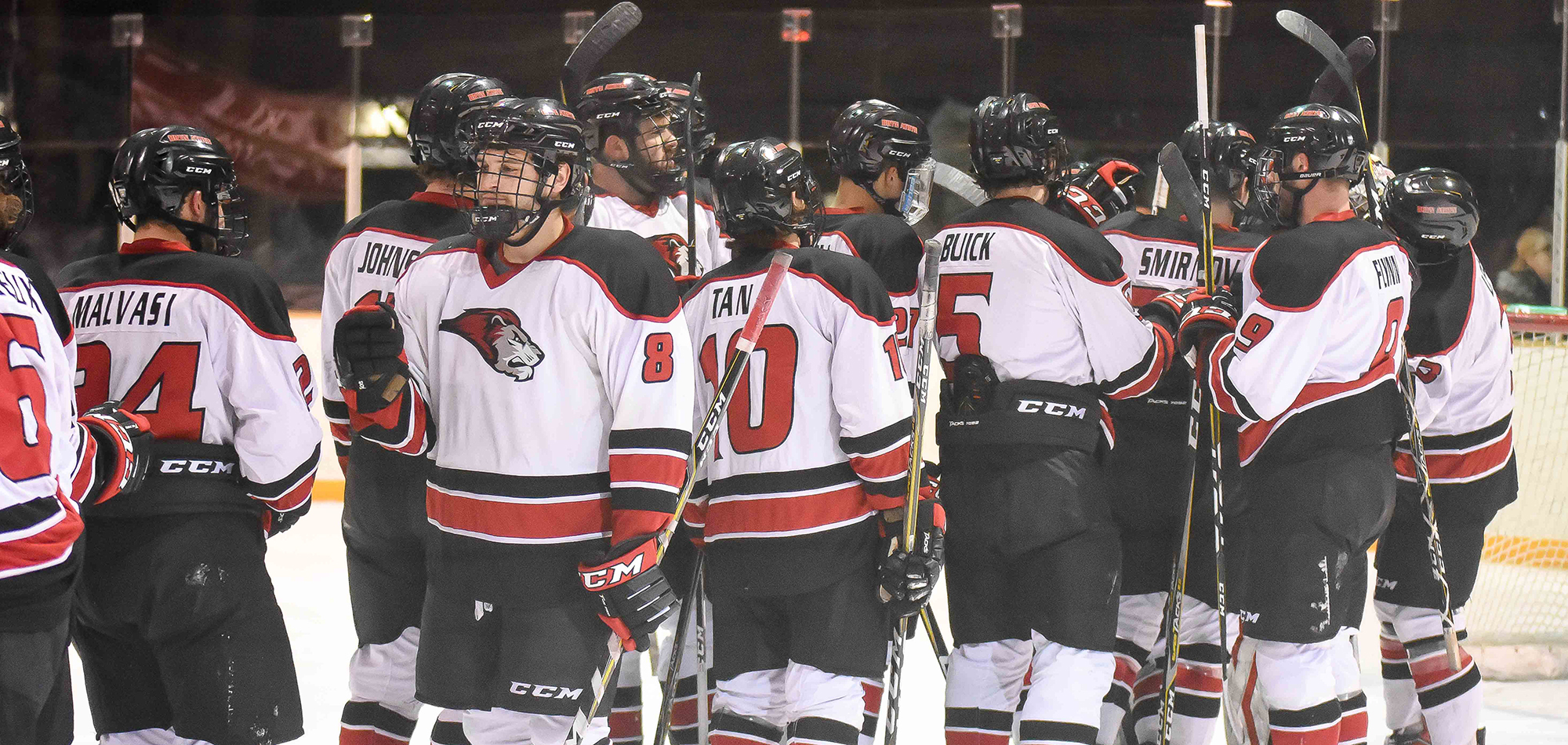 Ice hockey announces 2018-19 schedule