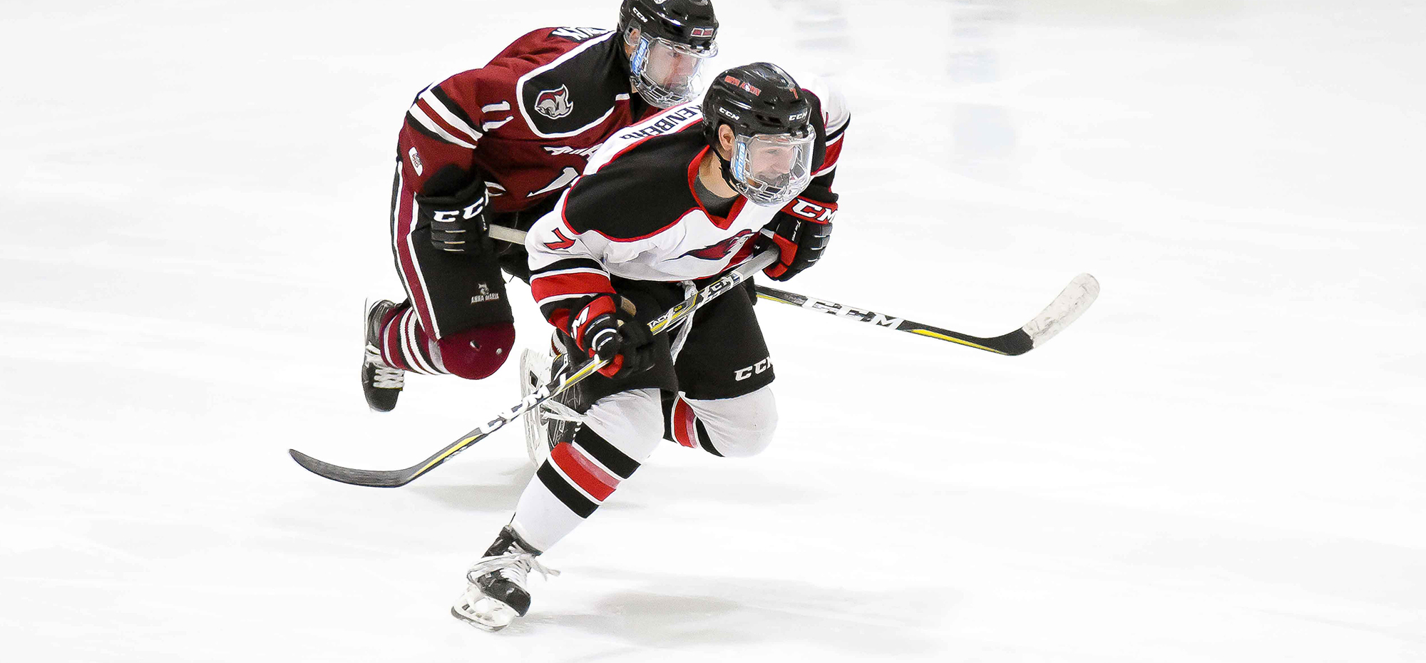 Heckenberger scores for Lions in 2-1 loss to Cortland State