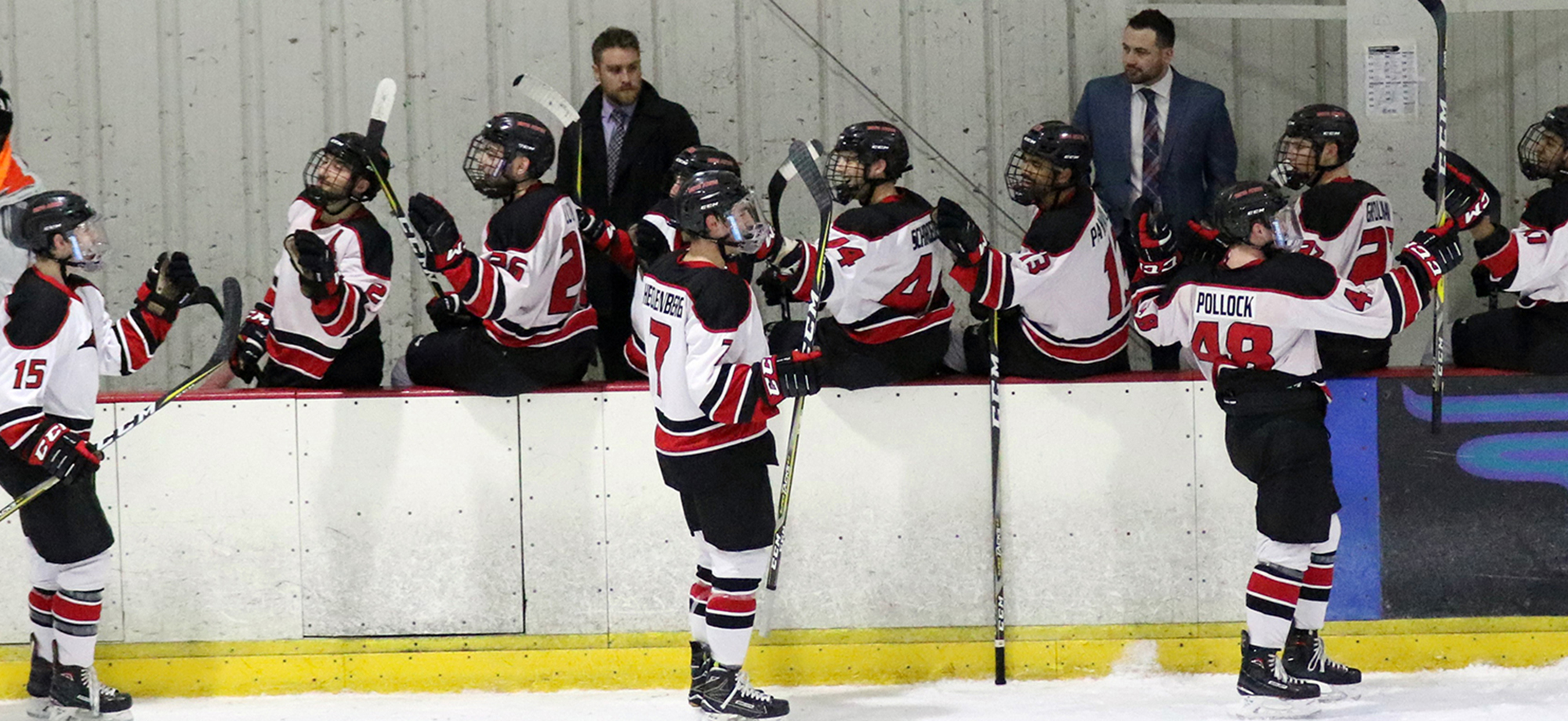Lions announce schedule for 2019-20 campaign
