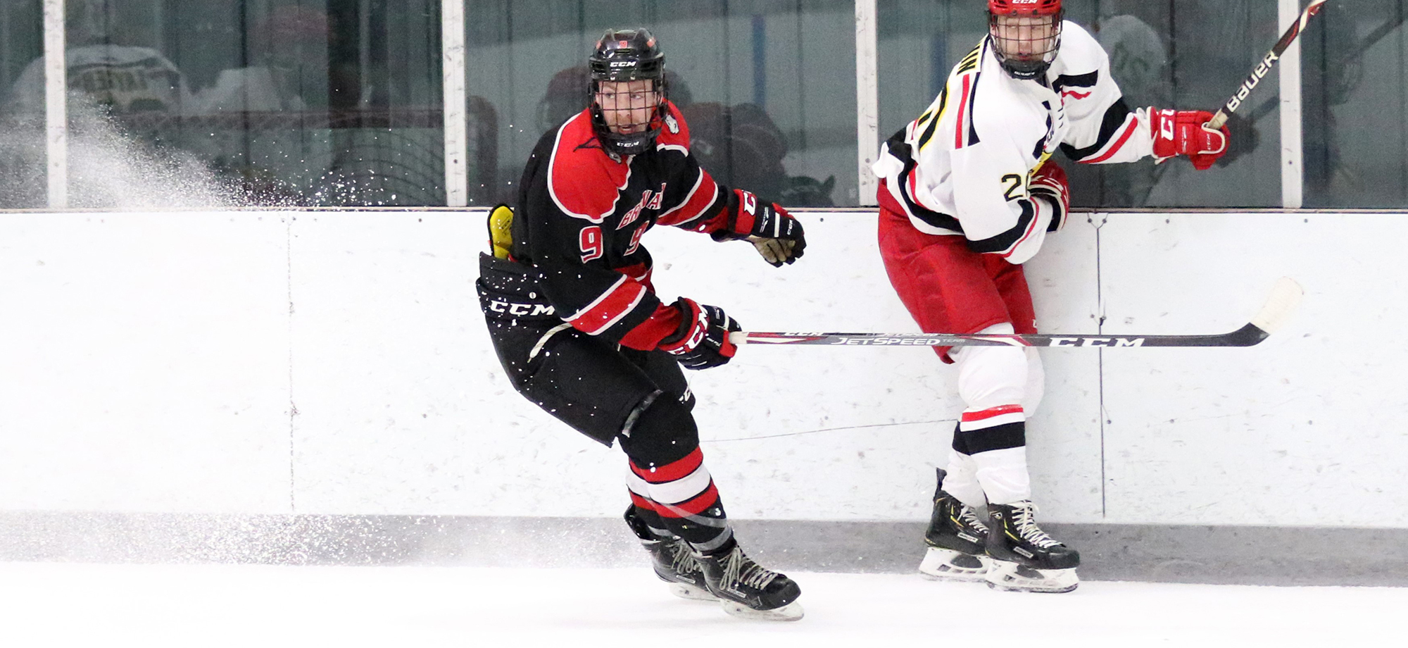 All-around attack propels Lions to 8-5 triumph at Stonehill
