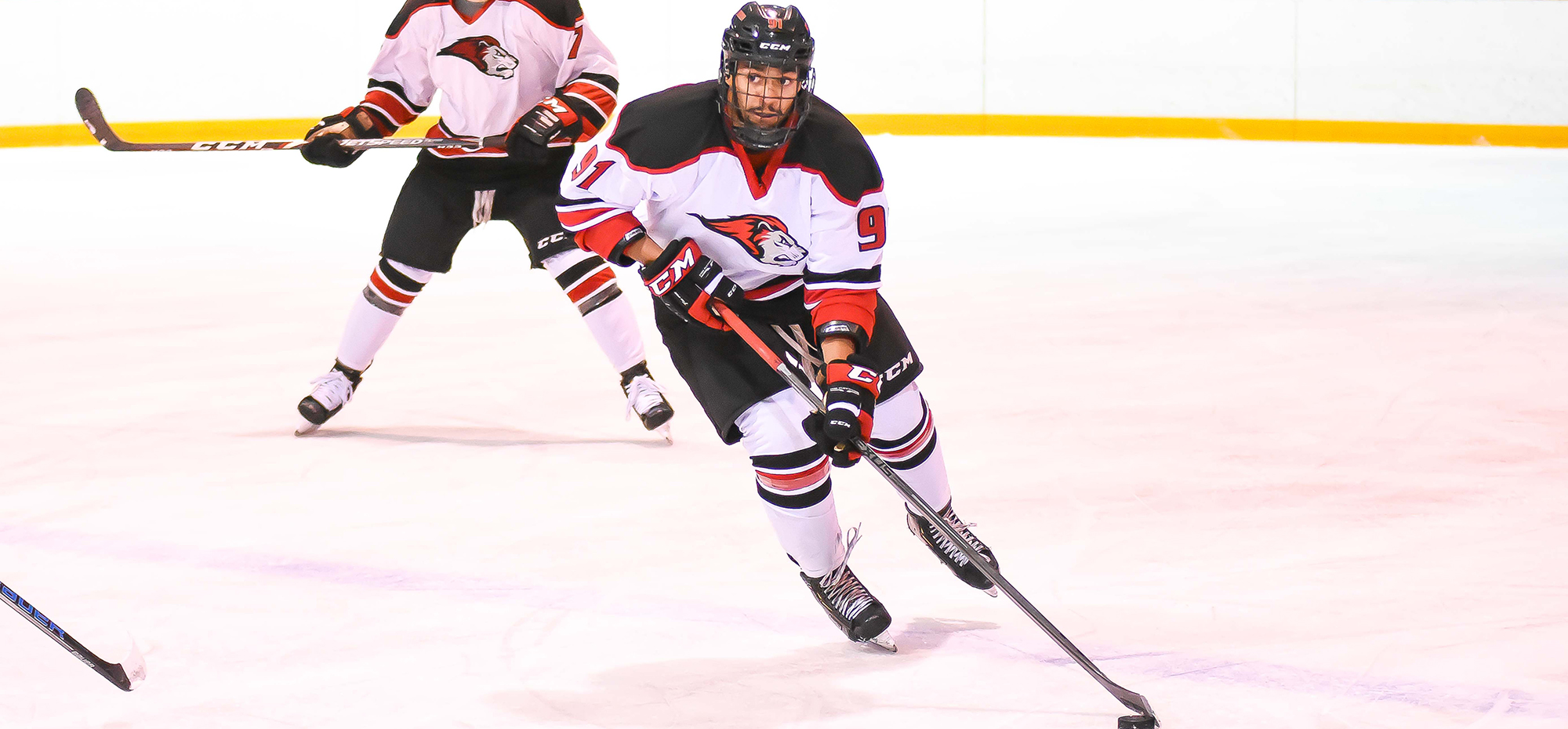 Brett's OT goal gives Lions a4-3 win at Castleton