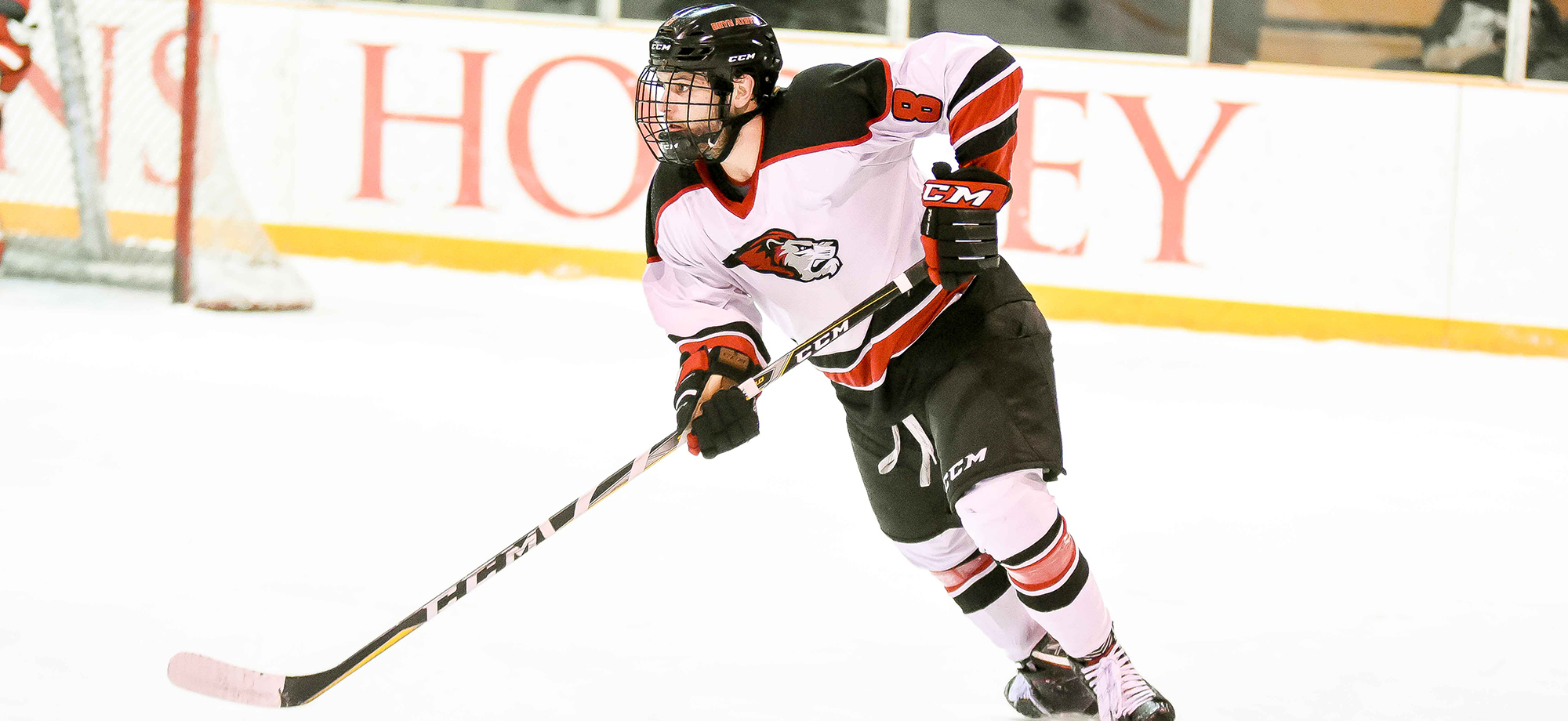 Fast Five: Lions to wrap up 2018-19 season with weekend series against Stonehill