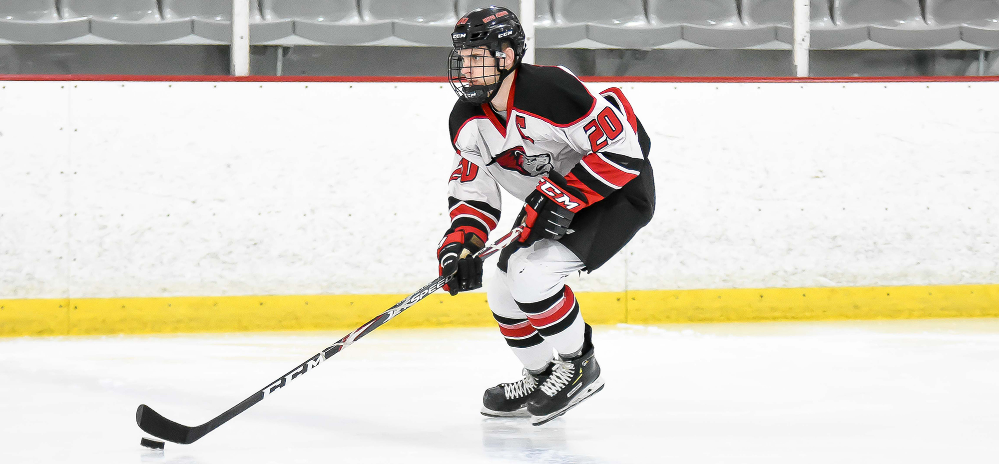 Lions doubled up by Buffalo State