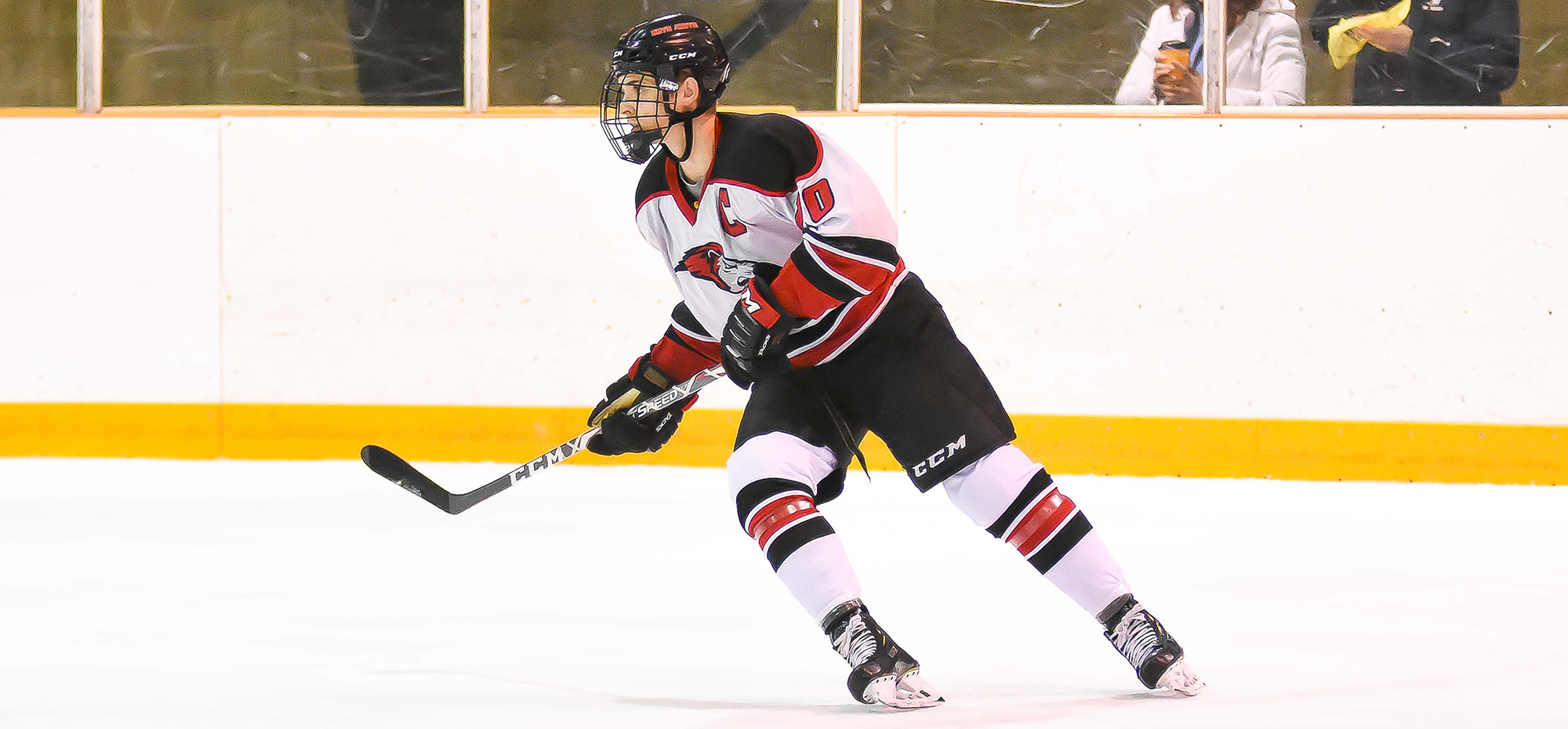 Smirnov nets game-winner in Lions' 5-3 victory at Buffalo State