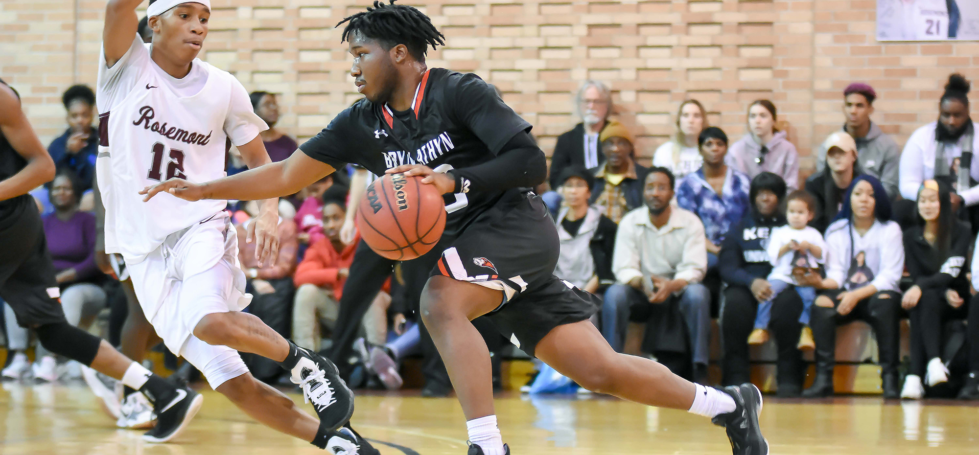 Lions drop season finale to host Rosemont