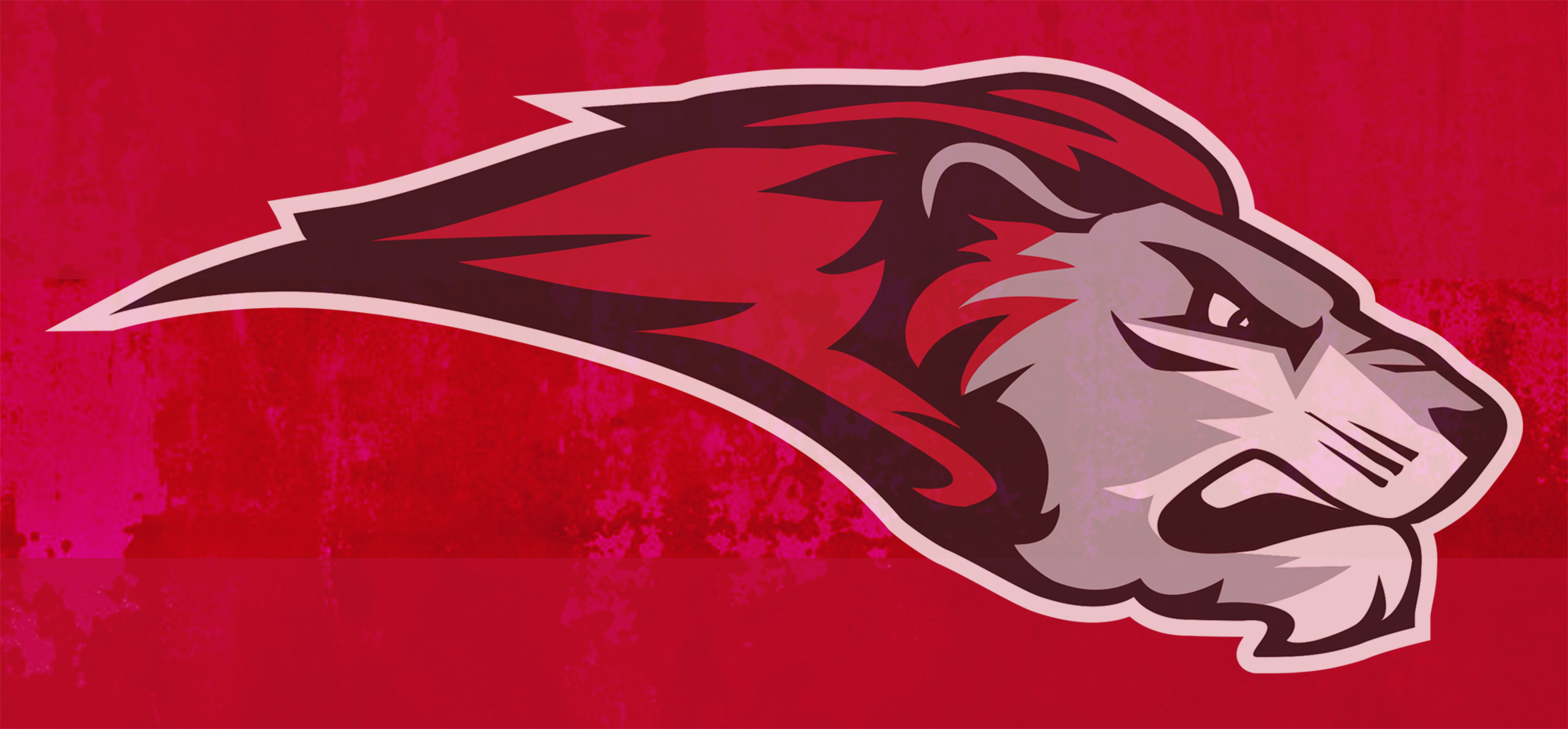 Bryn Athyn College Athletics Featured on CSAC Website