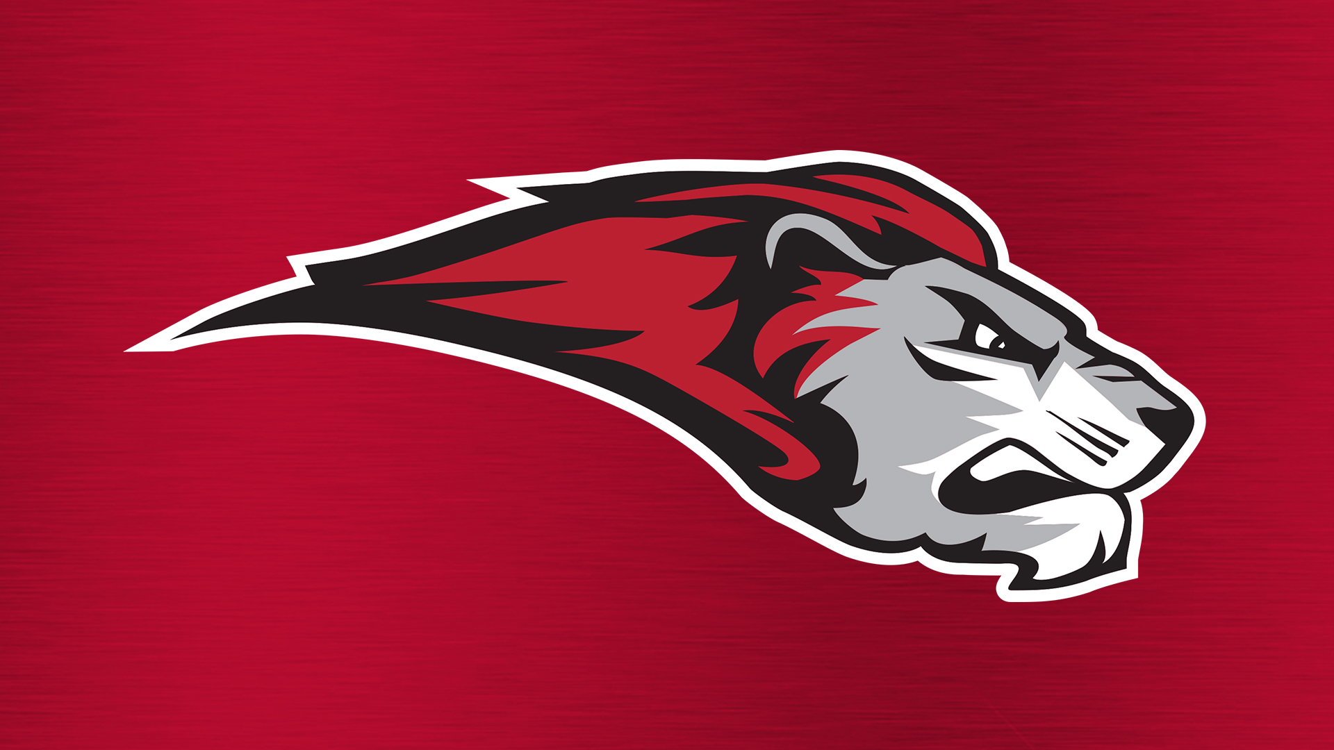 Bryn Athyn College Athletics announces coaching leadership program