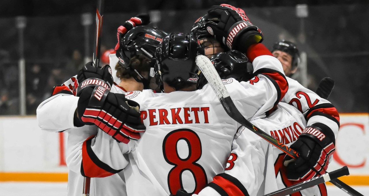 Men's ice hockey splits weekend action