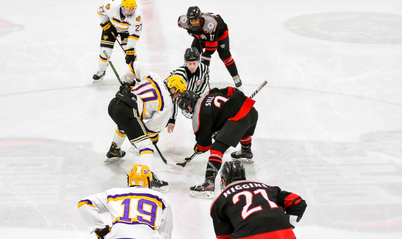 Men's ice hockey sweeps West Chester