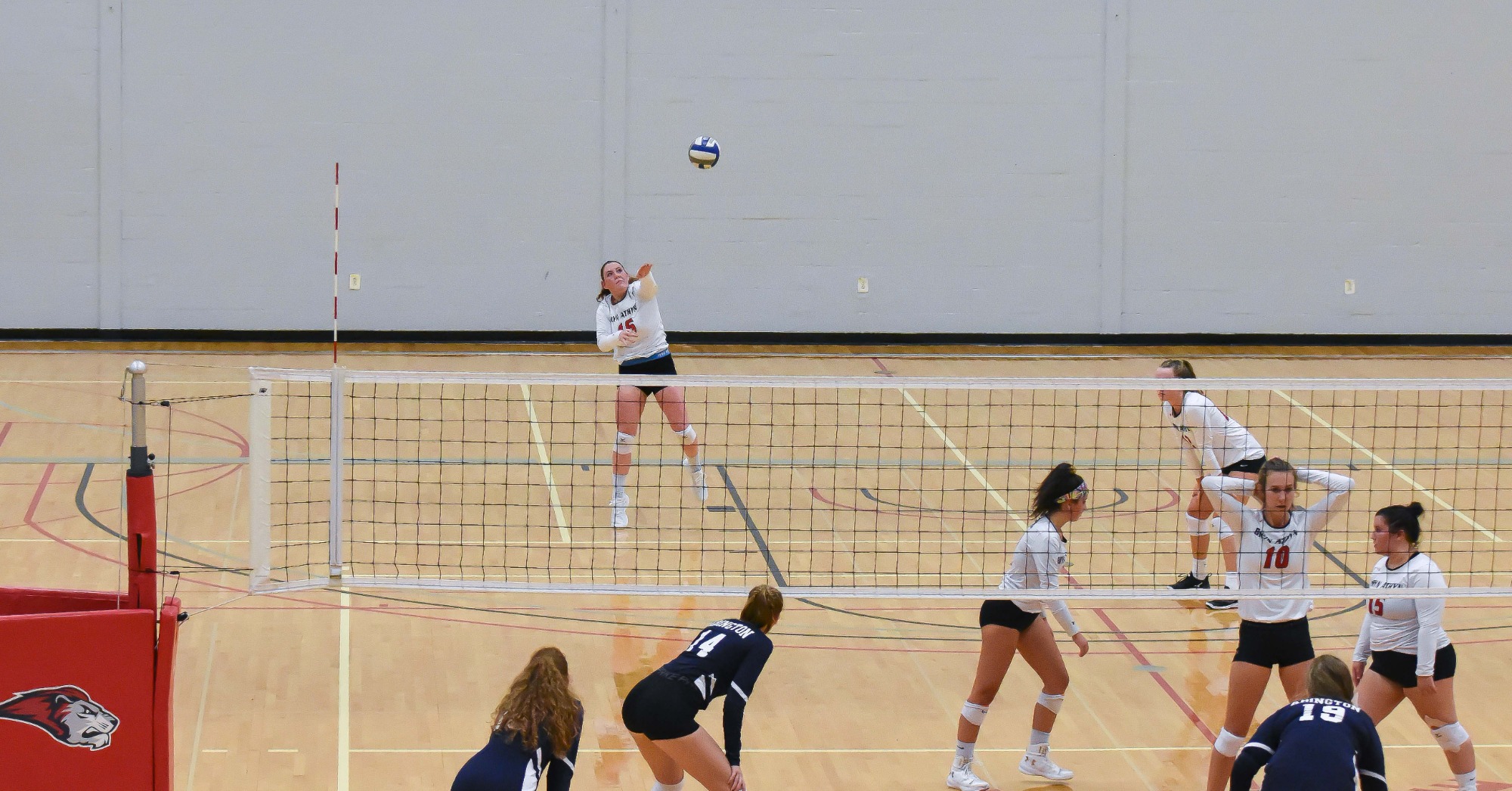 Women's Volleyball clipped in home opener by Albright