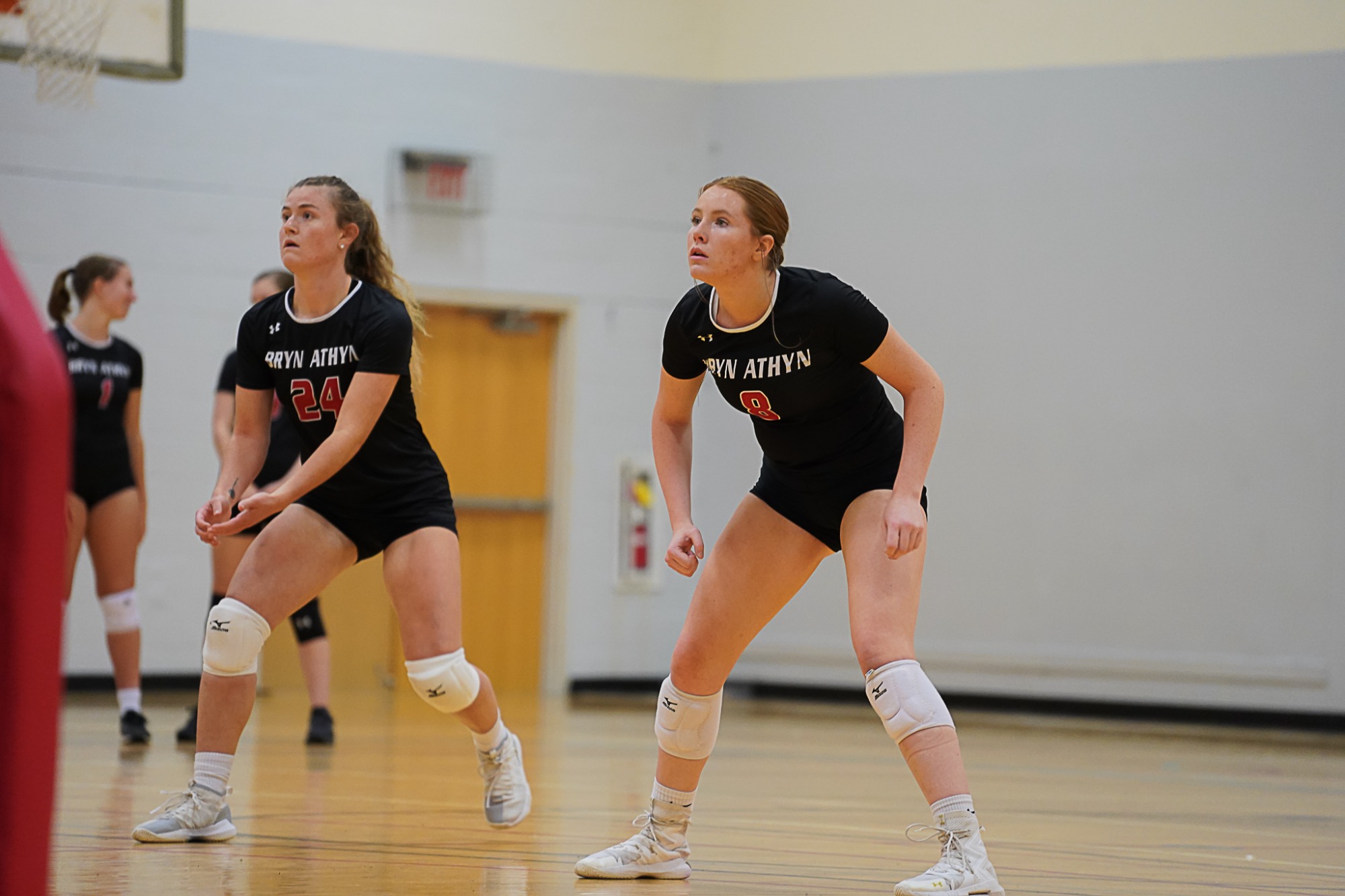 Women's volleyball drops two at Bryn Mawr tri-match