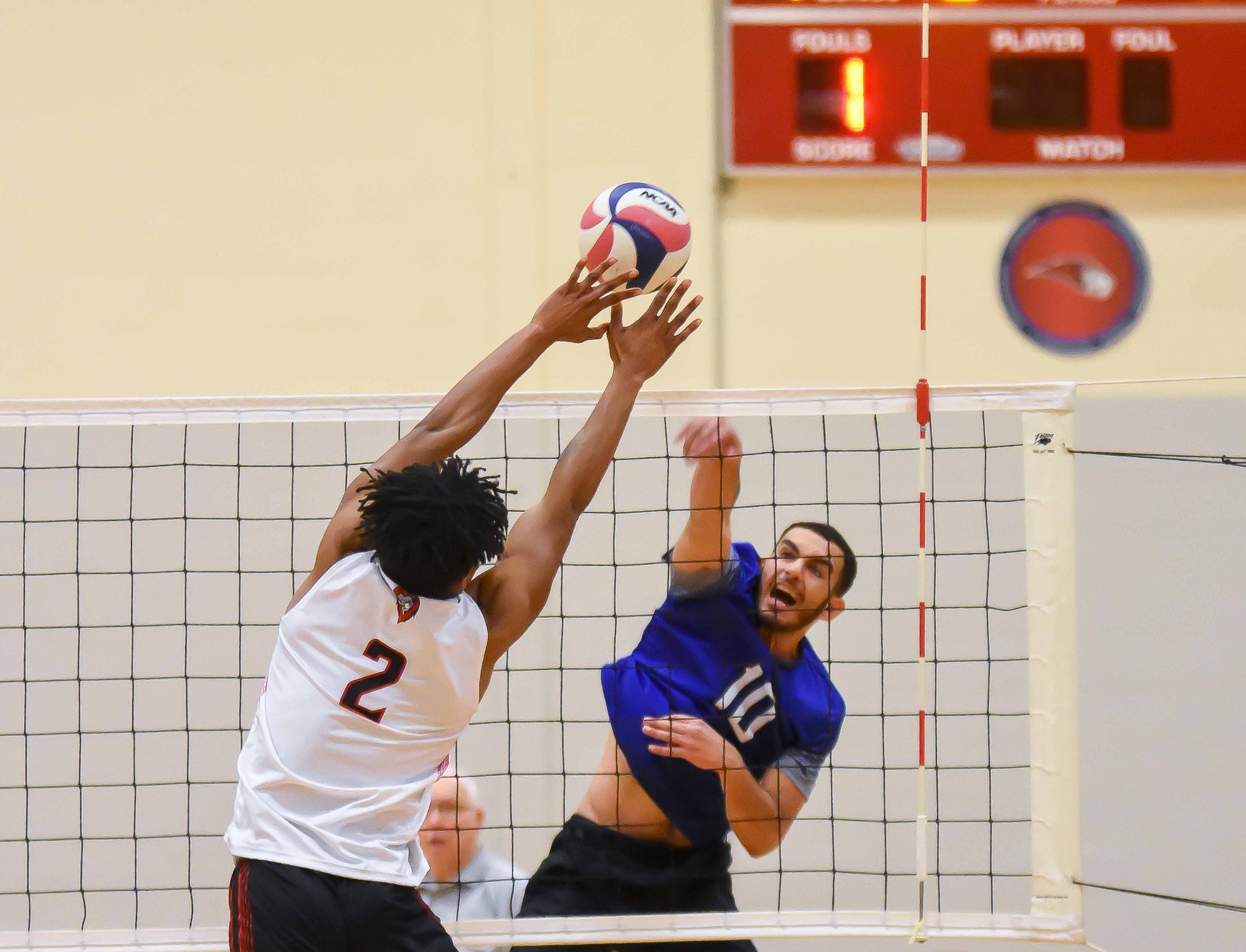 Men's volleyball competes against Immaculata