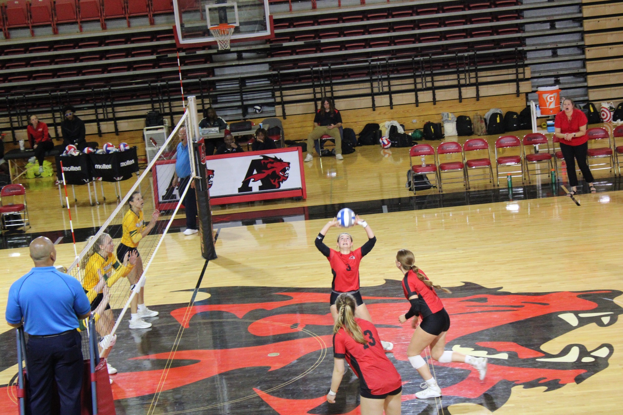 Women's Volleyball drops road match at Alvernia