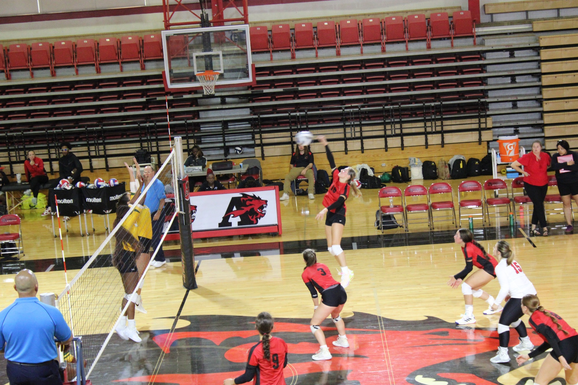 Women's Volleyball swept in Jersey City tri-match