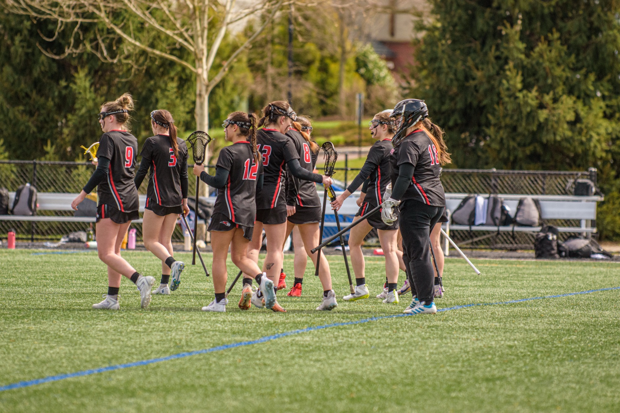 Lady Lions' season comes to a halt