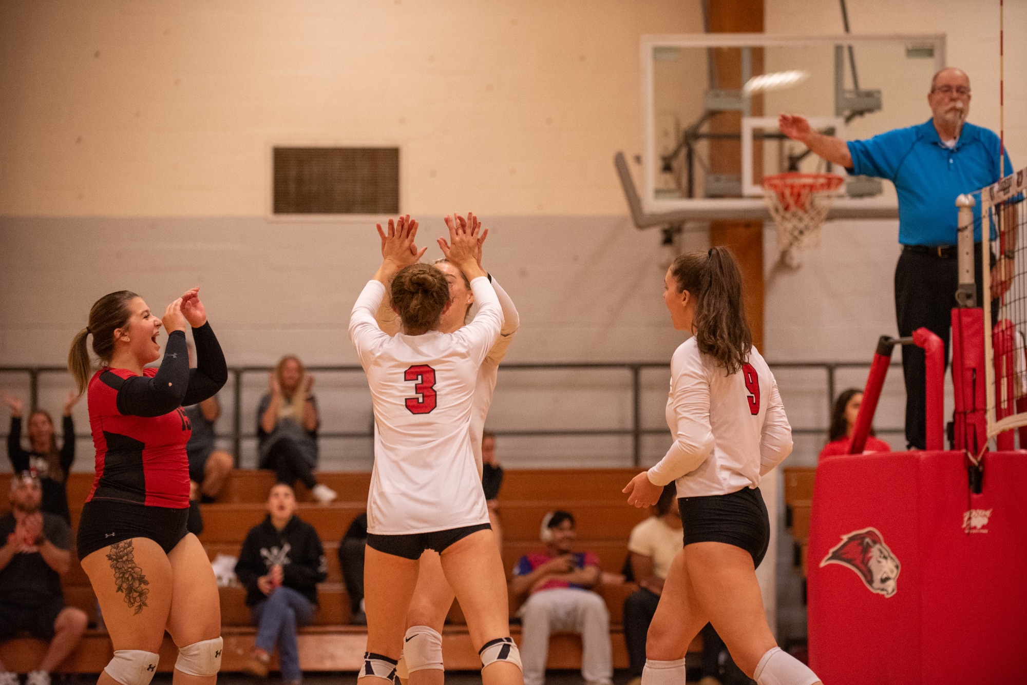 Women's volleyball sweeps Valley Forge